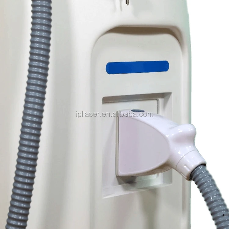 5G9A2983.JPG