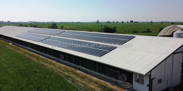 Hot dip galvanized BV test heat proof poultry control shed farm on rent in pune used steel chicken house trusses