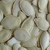 Shine-skin pumpkin seeds for wholesale from China