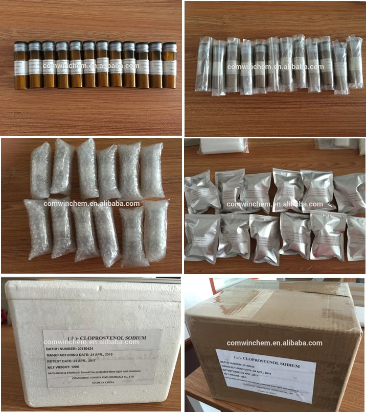 paste-pic-dp_uuid_r42aq