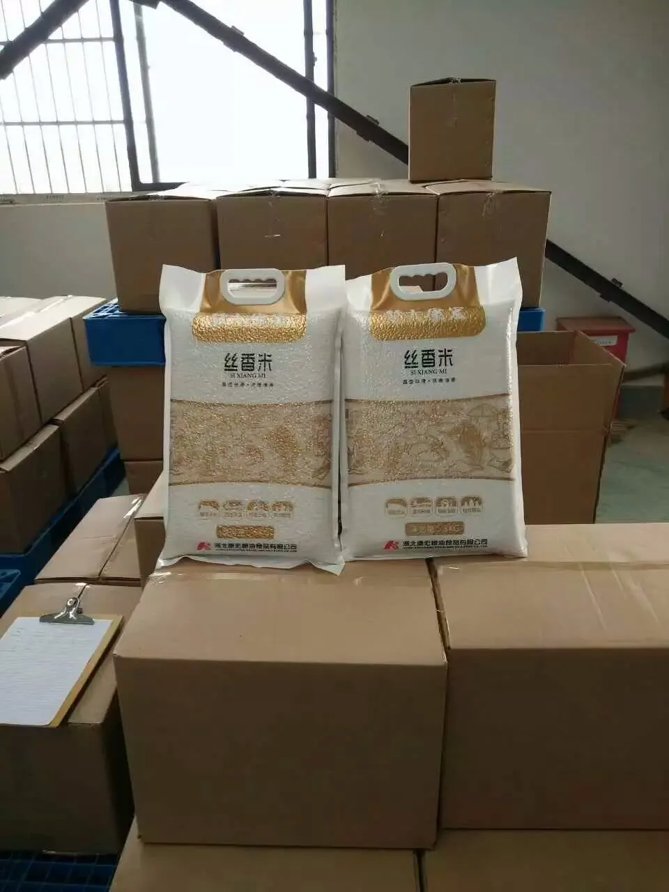 Jialong Pzb500f5 110kg Rice Sugar Beans Corn Automatic Vacuum