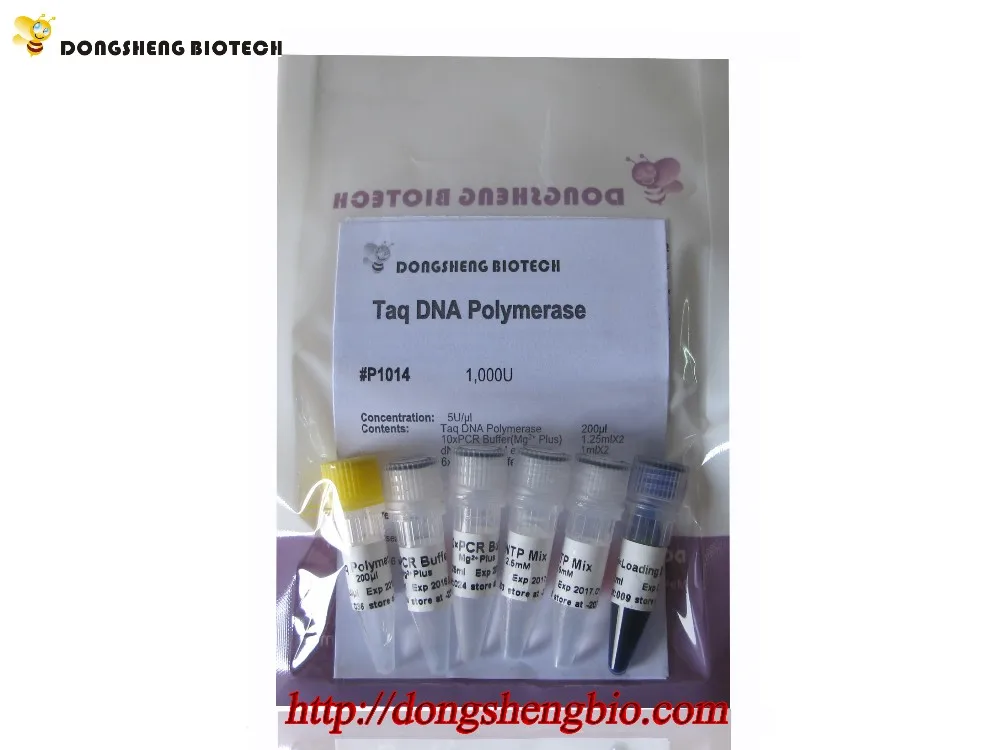 P1014  Taq DNA Ploymerase.jpg