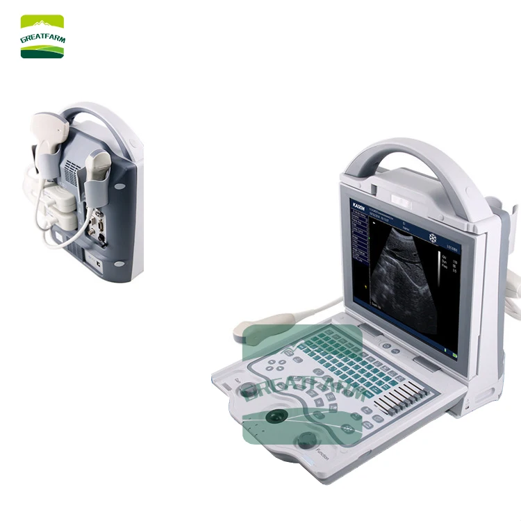 Dogs and cats special animal disease pregnancy detection equipment LED ultrasound scanner super large screen