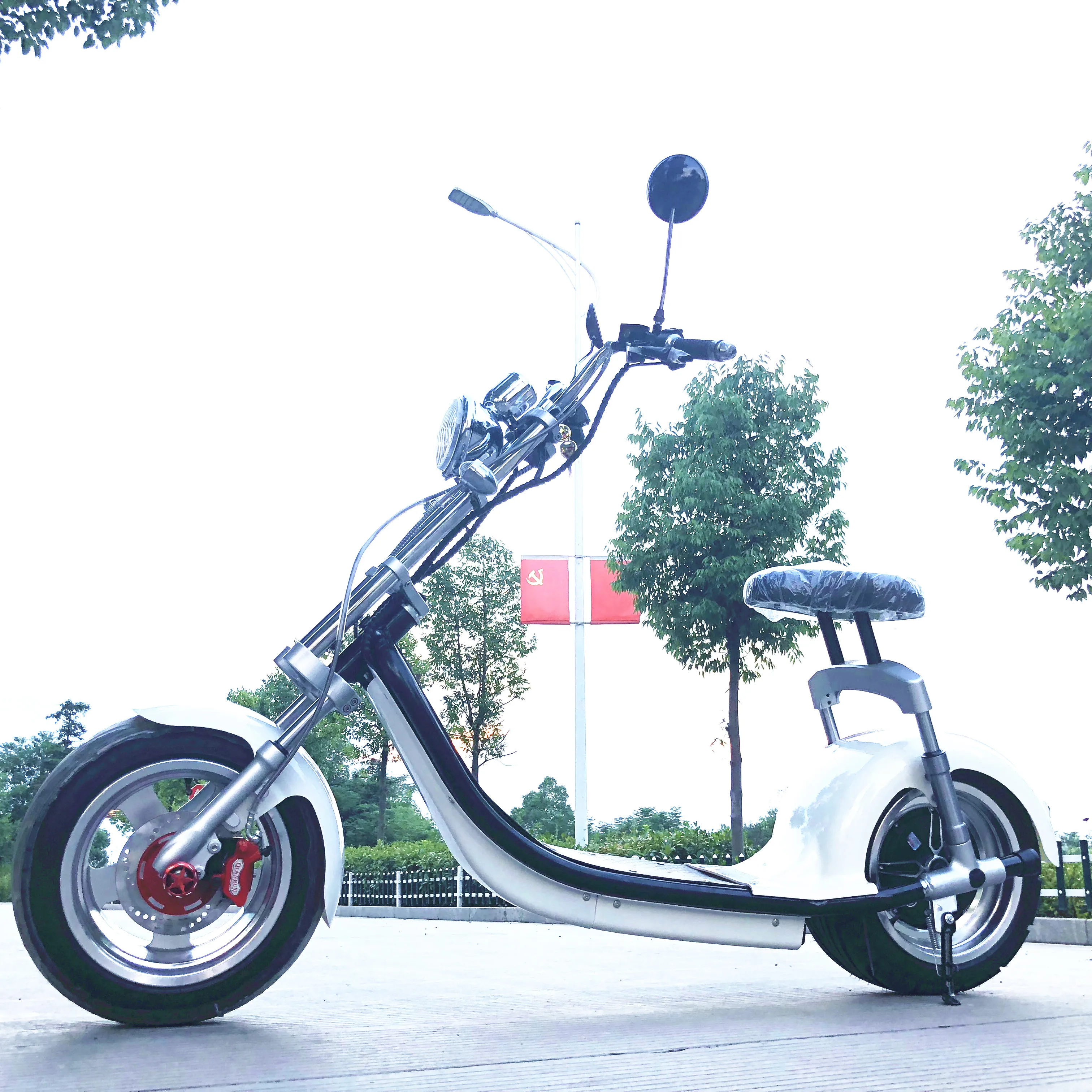 electric fat bike 2019