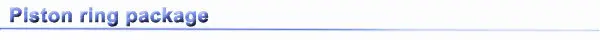 piston ring package.jpg