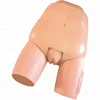 Fundus of Uterus Exam & Evaluation Model