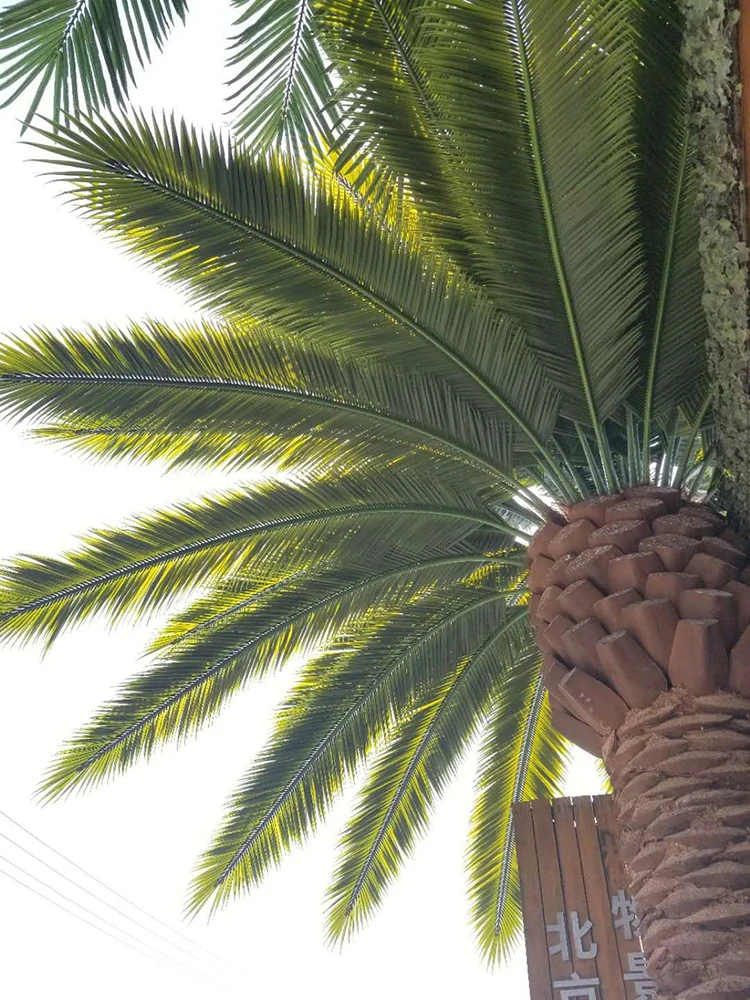 Factory Price Big Artificial Washington Palm Trees Buy Artificial