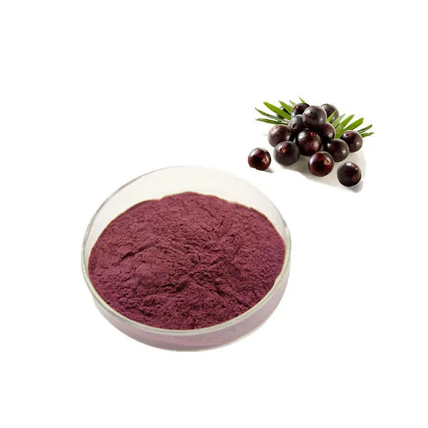 Runyu supply   acai berry powder acai berry extract acai berry seeds