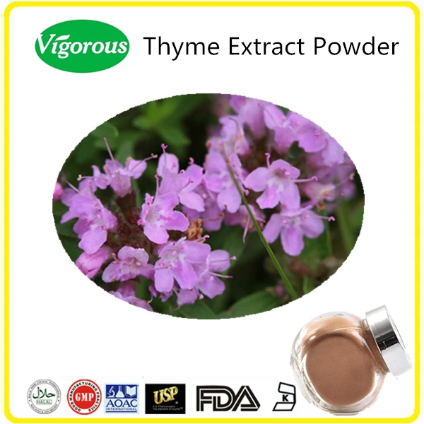 Herbal Pharmaceutical Free Sample High Quality Thyme Extract Powder