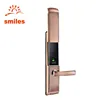 Zinc Alloy Touchscreen keypad Fingerprint Keyless Entry Door Locks With Cover Case