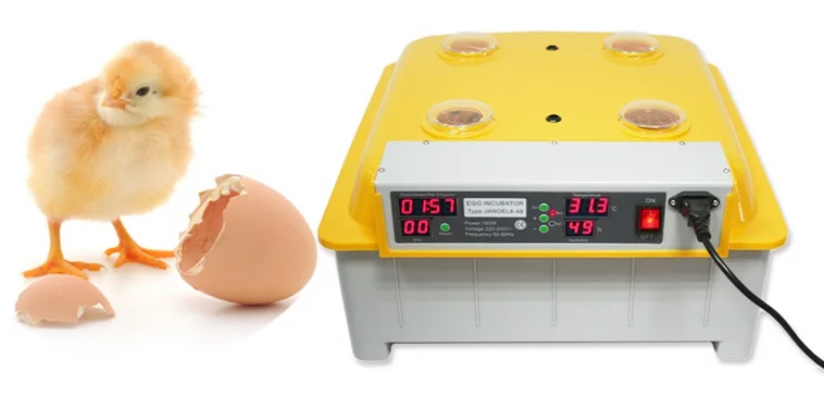 Hot Sale Setting 132 Eggs Automatic Egg Incubator Janoel 8 ...