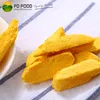 DICED DRIED FD MANGO FREEZE DRIED POWDER