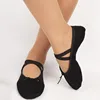Factory price breathable flexible dance shoe flat dance shoes for women