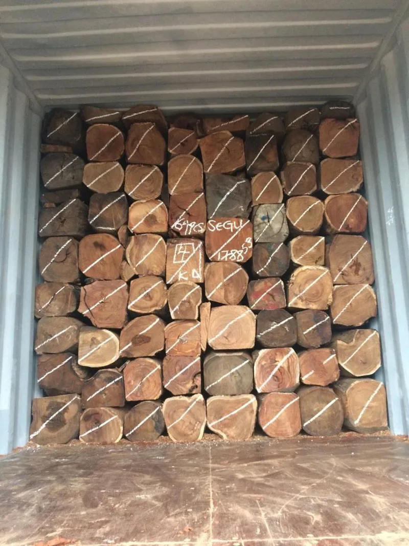 Cheap kosso / Sapelli / Tali / Teak / Pachyloba Wood Logs