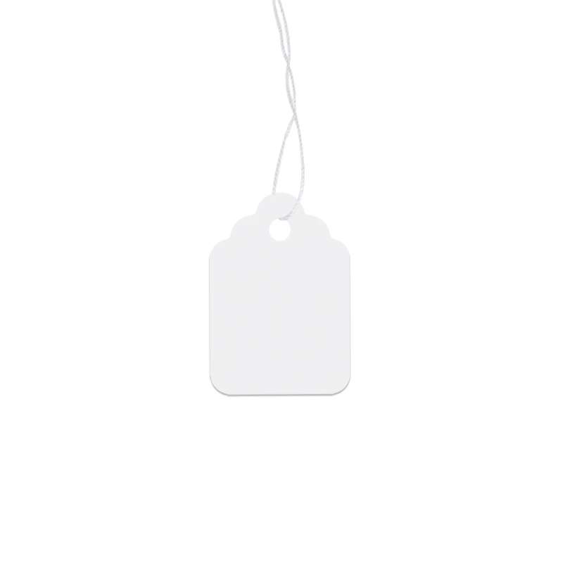 t4s string paper tag (1).jpg