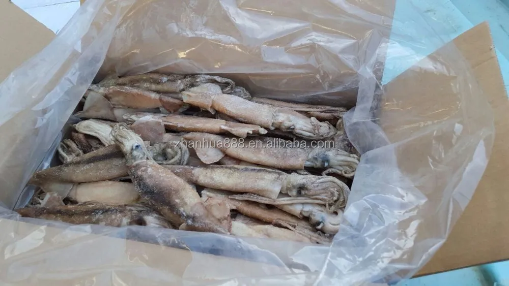 Frozen Bait Calamari Squid U100g - Buy Frozen Calamari,Frozen Squid