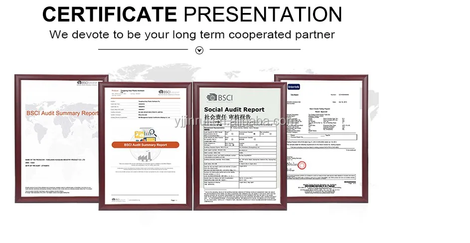 certificate 2.JPG