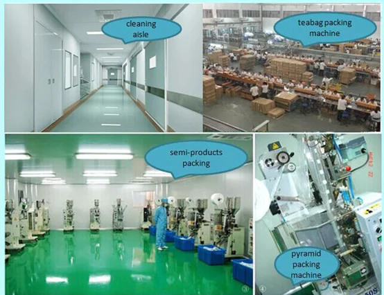 our factory.png
