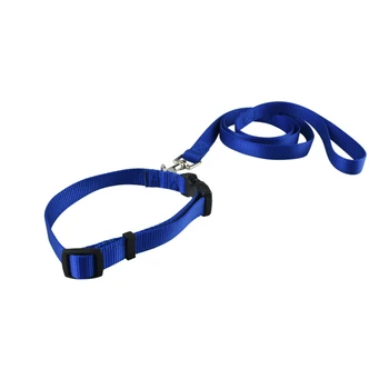 dog lead collar