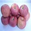 New season Fresh apple for wholesales