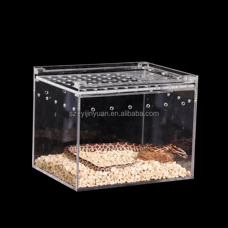 Plexiglass Reptile Terrarium Feeder Case Acrylic Reptile Cage For