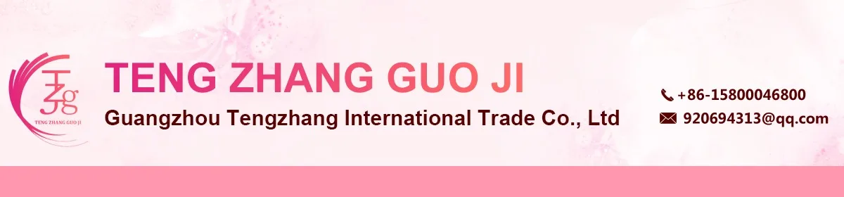 Company Overview - Guangzhou Tengzhang International Trade Co., Ltd.