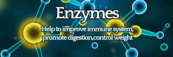 enzyme capsules.jpg