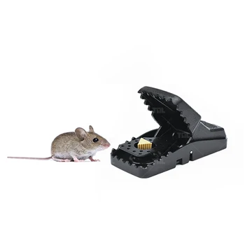 black plastic mouse trap