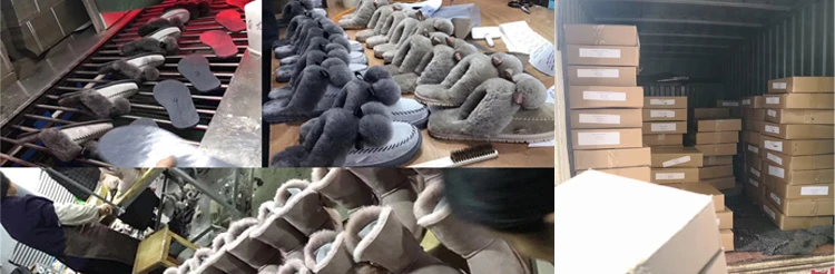 snow paw sheepskin slippers