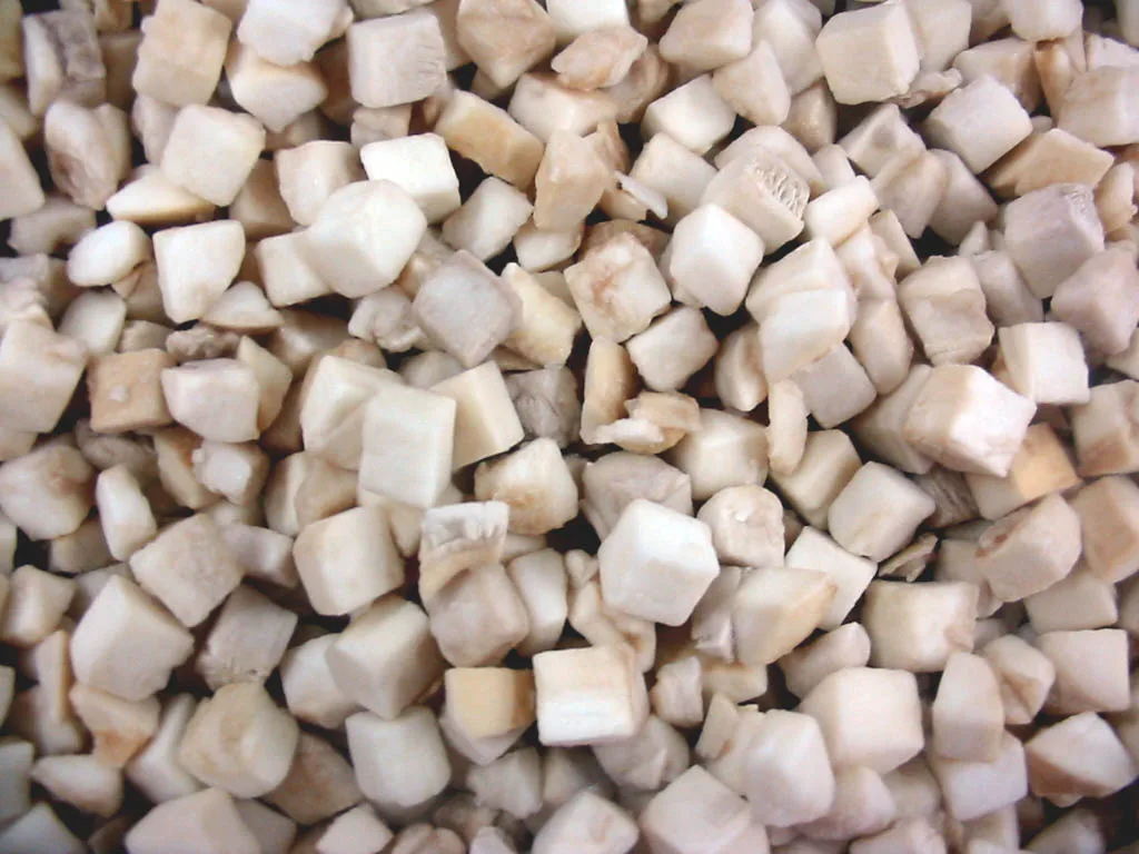 oyster mushroom 2
