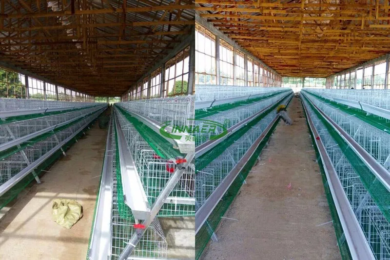 Kenya Chicken House Design For Each Hen House Keeping 5000 Hens Buy