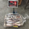 New Stock Frozen Squid Todarodes Pacificus For fish Bait