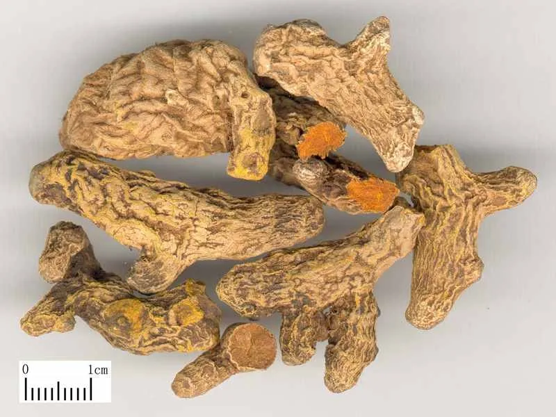 turmeric powder curcumin extract price 3.jpg