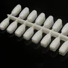 2018new 240 one size shell shape nail display tips