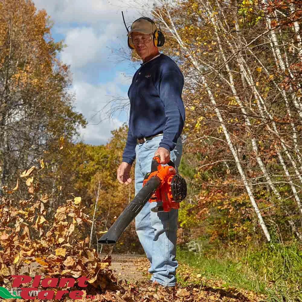 Leaf blower use-1