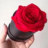 Best price cardboard flower boxes for single rose packing