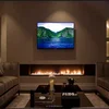 New design Intelligent bio fuel fireplace insert electric fireplace with remote control