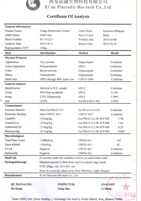 e/chaga tea/chaga coffee supplier