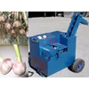 Fresh garlic root and leaves cutting machine