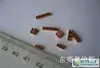 Guangzhou Precision shaft, rivets, different line of high-precision car parts processing