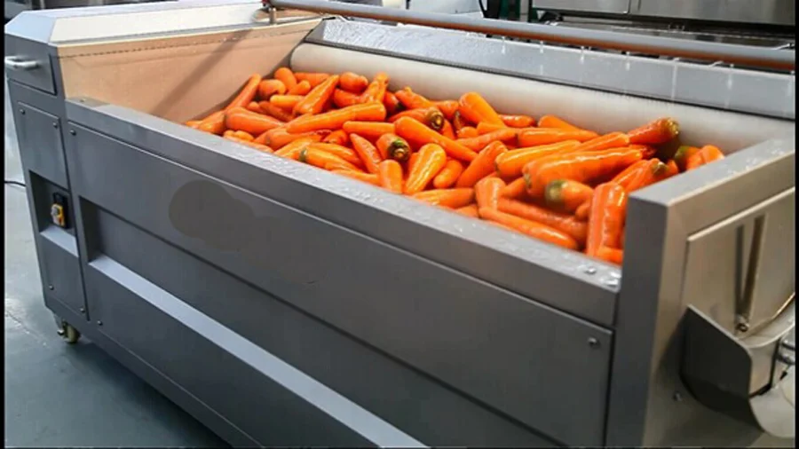 Brush type potato / carrot cleaning machine with peeling function