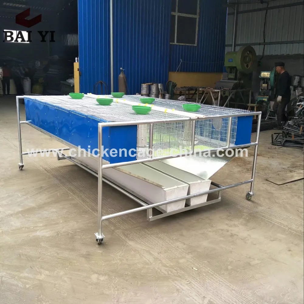 Easy Clean Rabbit Cage In Kenya Farm With Plastic Rabbit Cage Trays