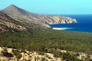 Mexico Land 127 000 Hectares Northern Baja California - Buy Land