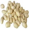 25/29 peeled peanut/blanched peanut kernel importers in uae