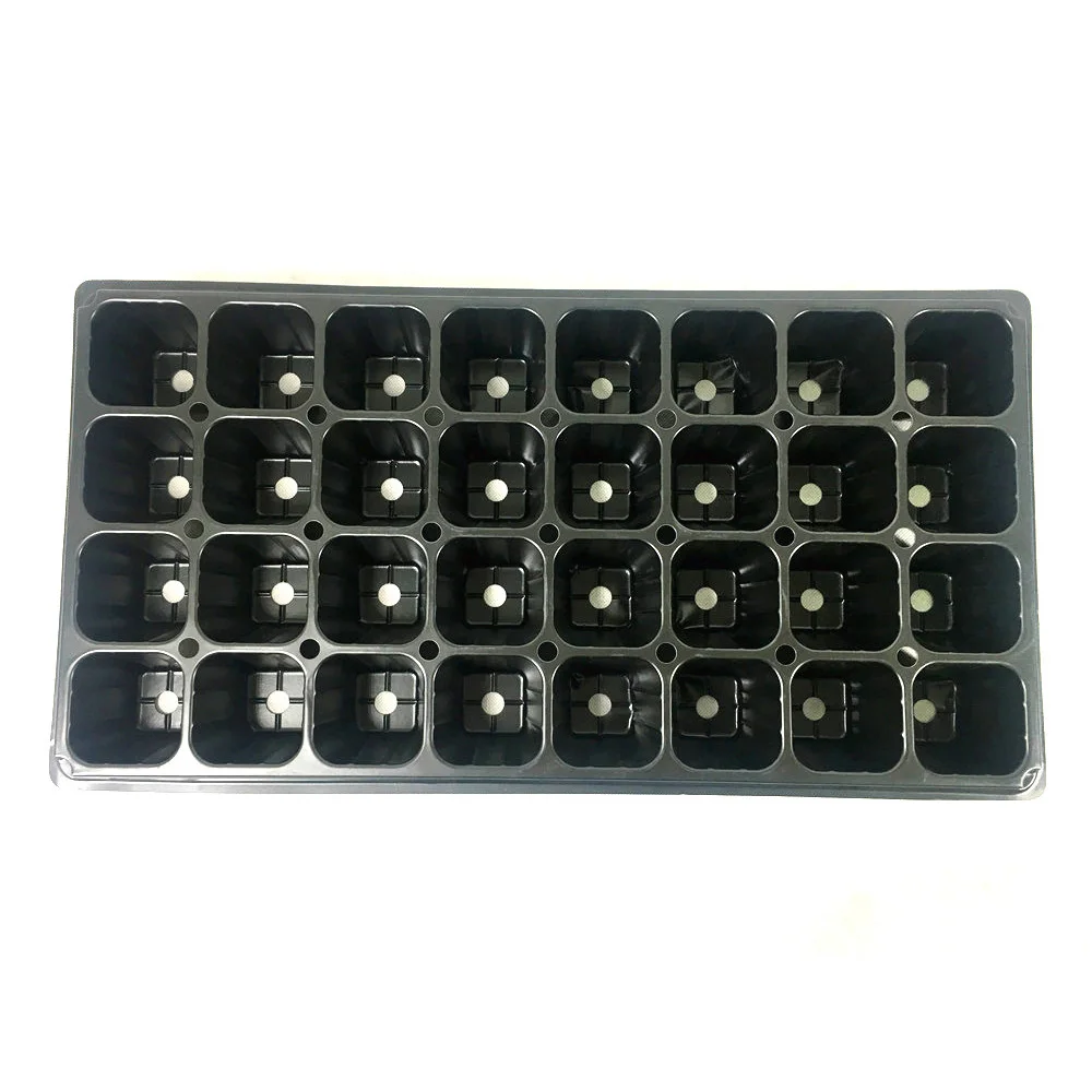 Propagator Windowsill Seed Tray Plug Trays Buy Large Plug