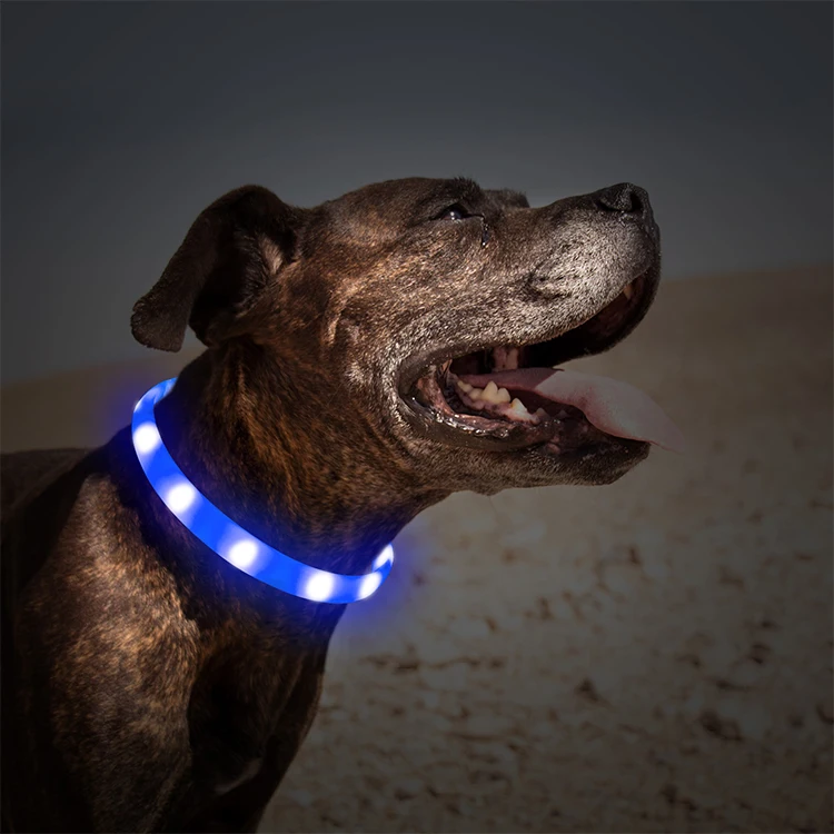 Wholesale Flashing Modes LED Dog Collar For Outdoor Safety Soft Silicone Led Light Up Pet Dog Collar Anti-losting