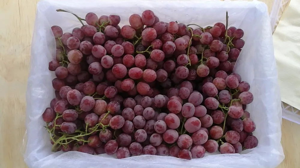 Hot Sell Fresh Sweet Chinese Red Grapes, View red globe, POP,SGV,SM