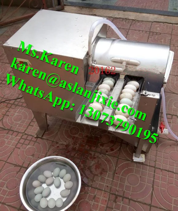 Portable Professional Egg Washer For Sale / Poultry Farm Use Small Type