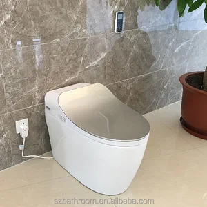 Ceramic Automatic Flush Toilet Bowl Smart Cover Seat Wc Toilet Intelligent Toilet