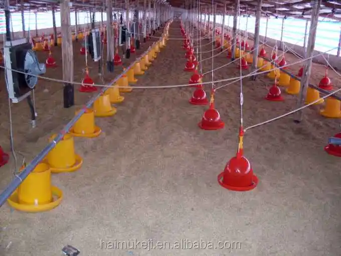 Livestock Supplies Water Nipple Chicken Feeders And Drinkers